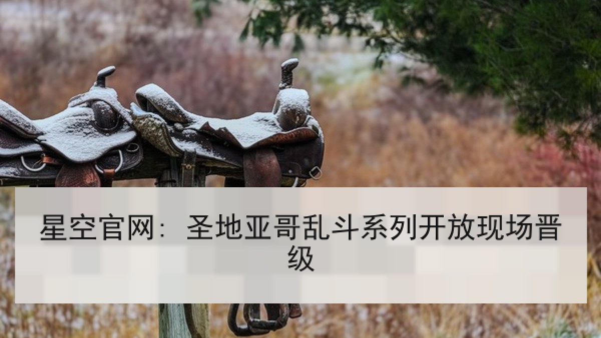 星空官网: 圣地亚哥乱斗系列开放现场晋级 星空官网: 圣地亚哥乱斗系列开放现场晋级